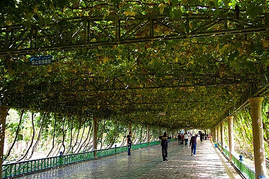 a扒开ss美鮑欣赏pics｜梦幻森林艺术之旅，SS美鮑创意启航-2