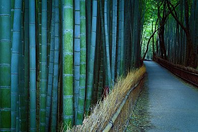 sana地下偶像｜sana地下偶像：揭开神秘面纱，探寻地下音乐圈崛起力量-1