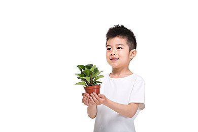 淘色1.3.3.3下载安装官网｜全新视觉，一键淘色，畅享创意世界-3