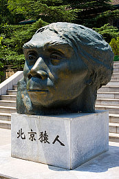 巨茎黑人大战白妞｜种族冲突背后：和谐包容社会挑战之旅-1