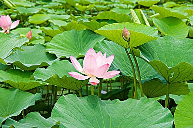 妽妽让我高潮了三次｜心动瞬间，探索情感深度与边界-3