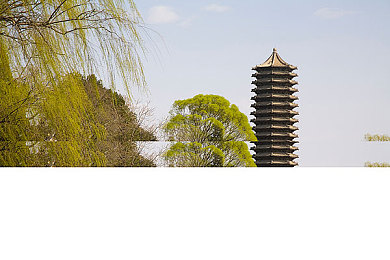 免费看美女隐私直播｜揭秘隐私直播陷阱，守护网络清朗空间