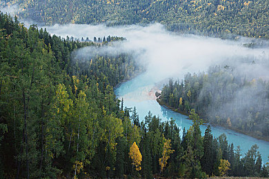 白桃svk｜白桃SVK：美丽果园的秘密力量，养颜果香之旅