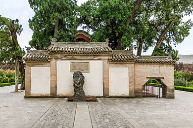 香蕉伊人｜微笑跨越国界，李婷婷用真诚赢得世界赞誉，成就文化交流传奇-3