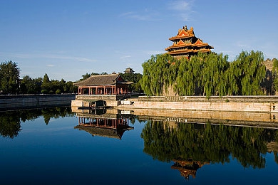 含羞草未满 禁止观看｜奇幻冒险之旅：揭秘含羞草未满独特魅力与成长历程-2