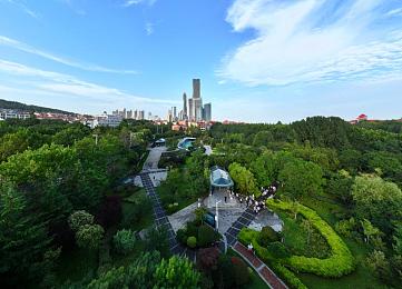 三上悠亚三级片｜探索女性力量与社会期待的成人之旅