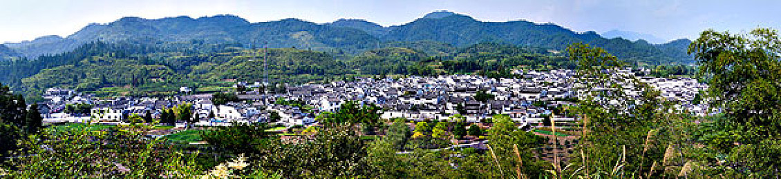 拔萝卜竖起来自己坐上去｜神奇萝卜奇遇记：田间奇观，坐立皆可，探寻自然奥秘-2