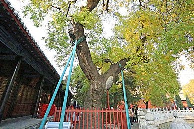 邪恶道全彩※ACG邪恶色哟哟｜动漫奇观：“邪恶道全彩”引发文化反思与社会热议-3