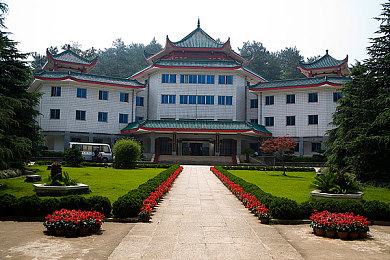 jalap was was was kio翻译｜跨语种辣椒挑战，语言魅力共舞世界-2