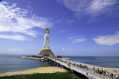 拔萝卜竖起来自己坐上去｜神奇萝卜奇遇记：田间奇观，坐立皆可，探寻自然奥秘