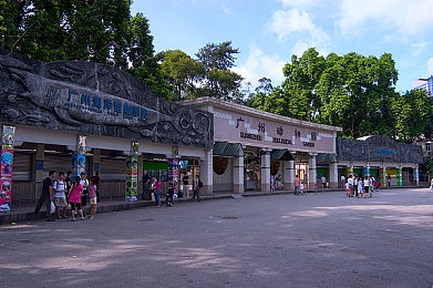 西方37大但文体艺术完整版｜艺术交融之旅，穿越37国艺术盛宴-3
