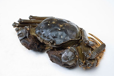 91黑料网｜信息时代的隐私战争,谁能守护真相-4