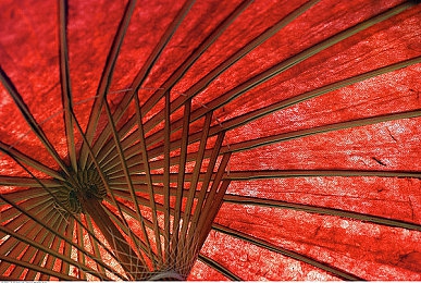 爽 躁多水 快 深点春雨医生｜春雨医生，指尖轻触，健康管理新篇章