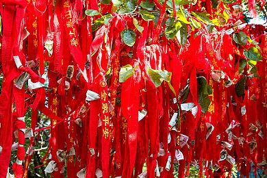 张丽大战3黑人40cm｜勇者张丽：40cm逆战传奇-5
