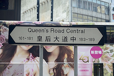 8008幸福宝站长统计版功能｜网站数据无忧，幸福宝统计助力高效运营-2