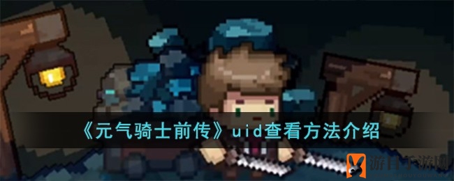 《元气骑士前传》快速查询UID攻略：好友组队轻松解锁冒险之旅