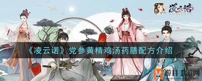 《凌云诺》党参黄精鸡汤药膳配方展示