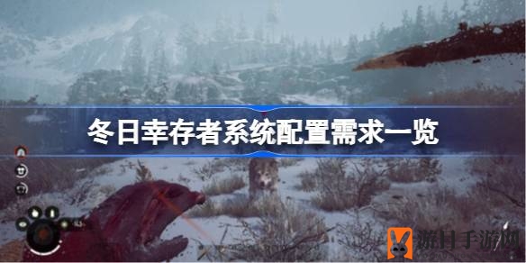 冰雪求生之旅，配置揭秘：勇闯《冬日幸存者》的必备清单