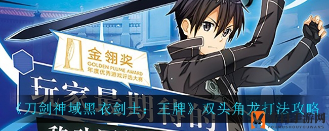 《刀剑神域黑衣剑士：王牌》双头角龙战斗技巧详解