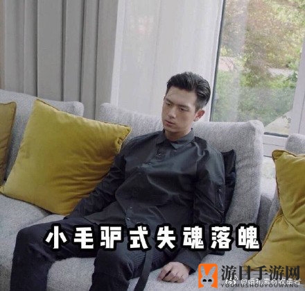 《亲爱的热爱的》李现韩商言表情包大全