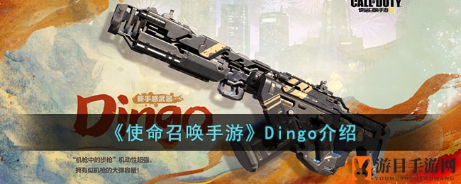 《使命召唤手游》Dingo介绍