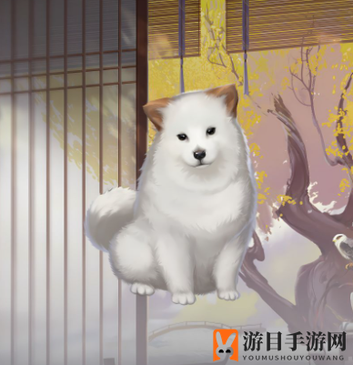 《代号鸢》防御密探一览