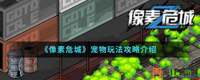 《像素危城》宠物玩法攻略深度解析