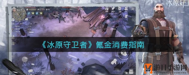 《冰原守卫者》高效氪金攻略：轻松驾驭游戏，告别弯路
