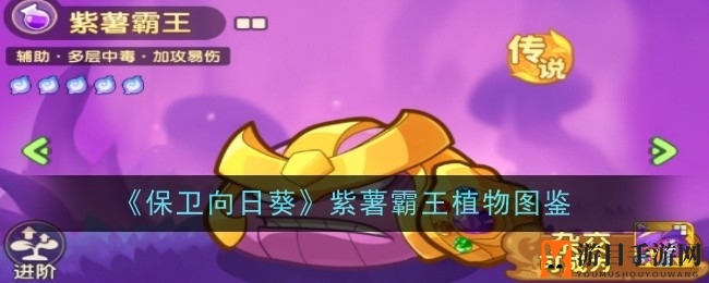 《保卫向日葵》紫薯霸王植物特性解析：全能霸主助力毒系攻击力激增
