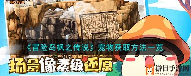 《冒险岛枫之传说》萌宠解锁攻略，轻松获取心仪伙伴