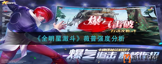 《全明星激斗》薇普：神秘辅助者，助力团队制胜之道
