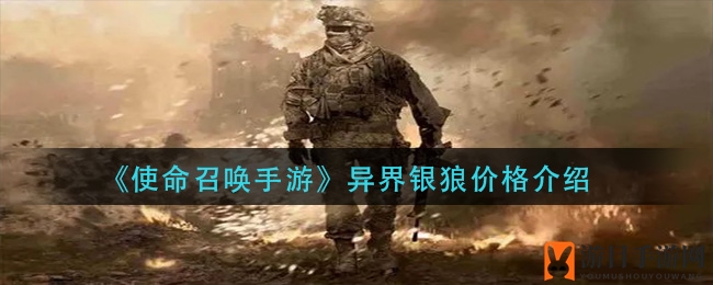 《使命召唤手游》银狼价格揭秘：888元入手，值不值？